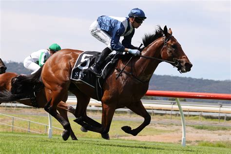 2024 Black Caviar Lightning Stakes Day Tips & Preview.